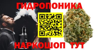 индика Ликино-Дулёво
